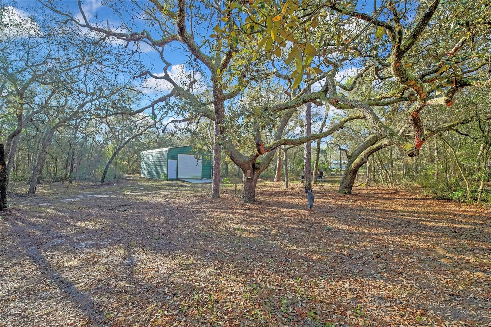 340 E SAVOY ST, LECANTO, FL, 34461