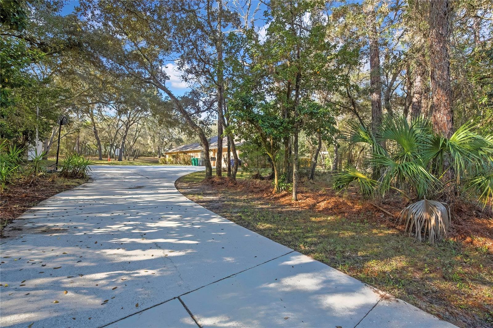 340 E SAVOY ST, LECANTO, FL, 34461