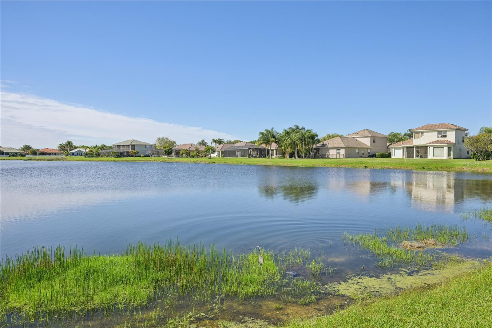 226 PETREL TRL, BRADENTON, FL, 34212