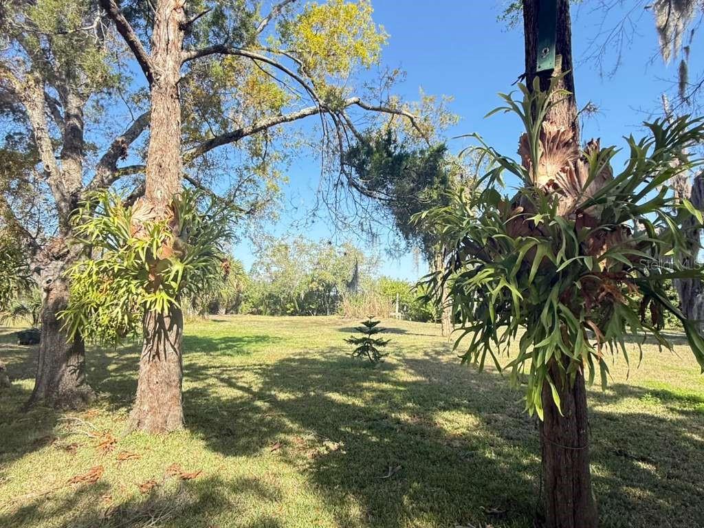 4858 TROYDALE RD, TAMPA, FL, 33615