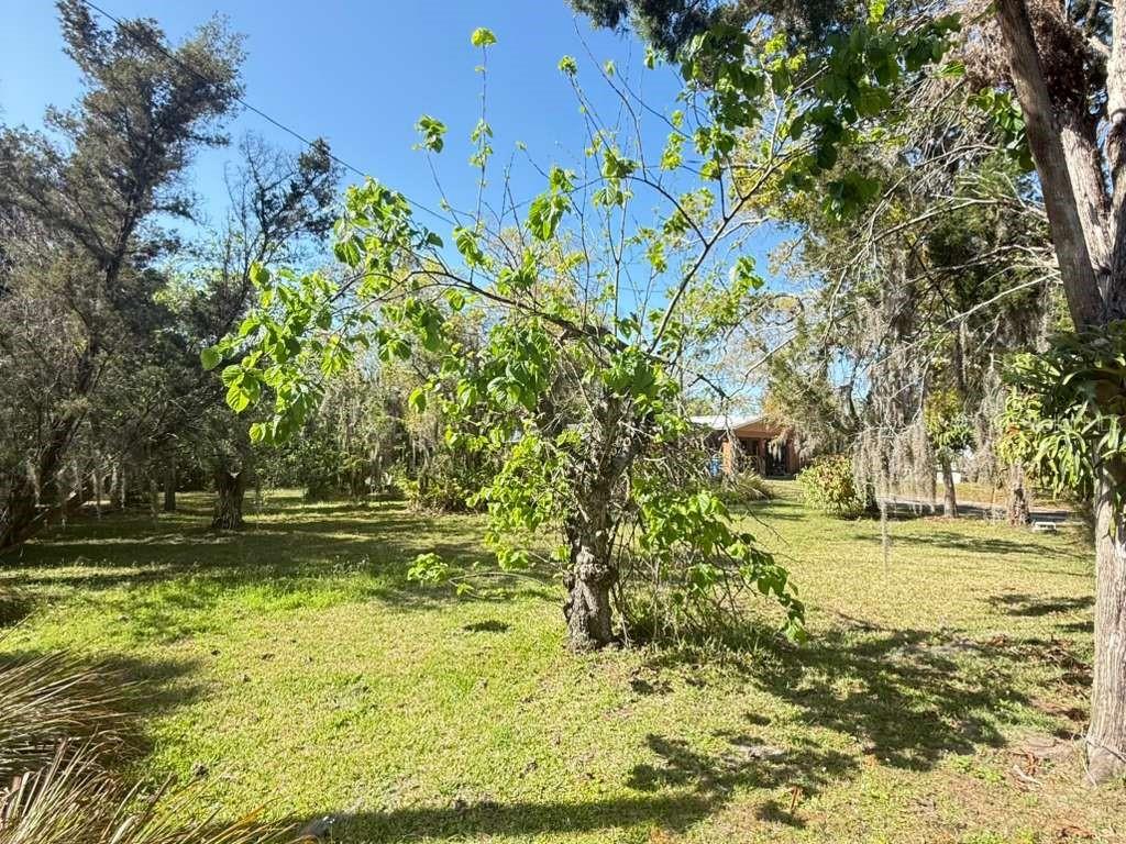 4858 TROYDALE RD, TAMPA, FL, 33615