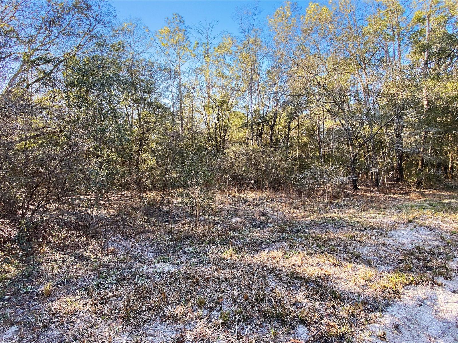 SW BUFFALO CT, FORT WHITE, FL, 32038