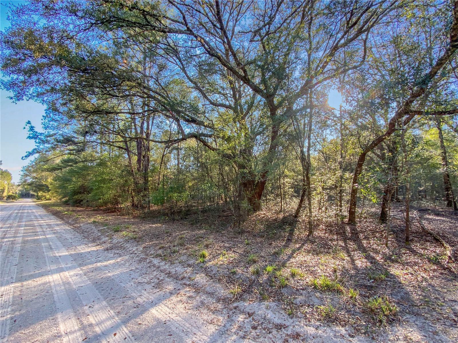 SW BUFFALO CT, FORT WHITE, FL, 32038