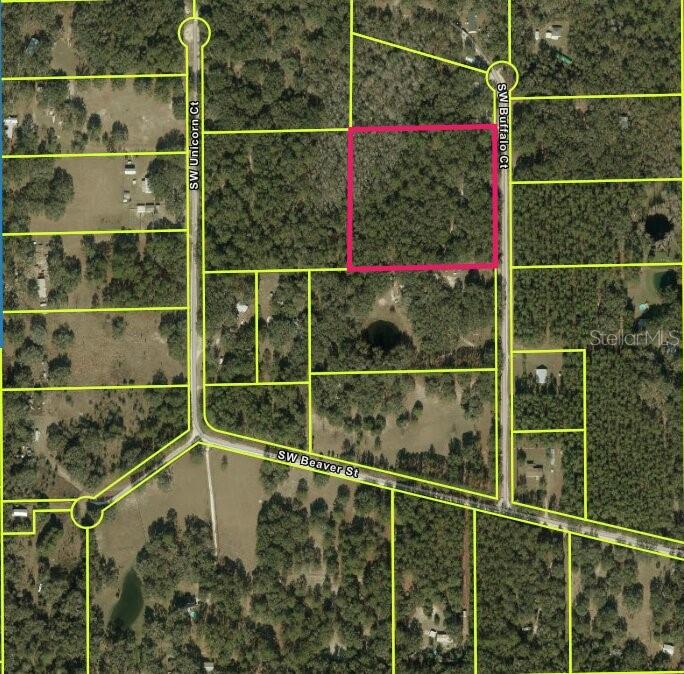 SW BUFFALO CT, FORT WHITE, FL, 32038