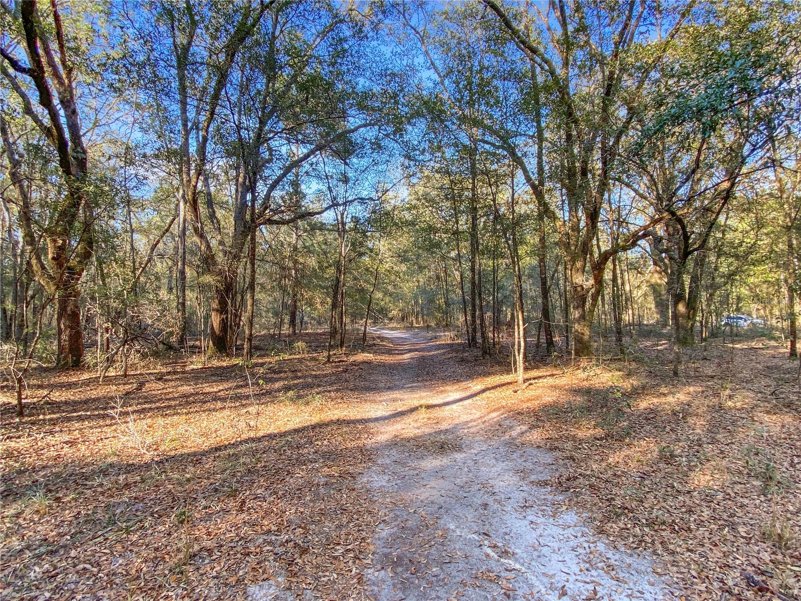 SW BUFFALO CT, FORT WHITE, FL, 32038