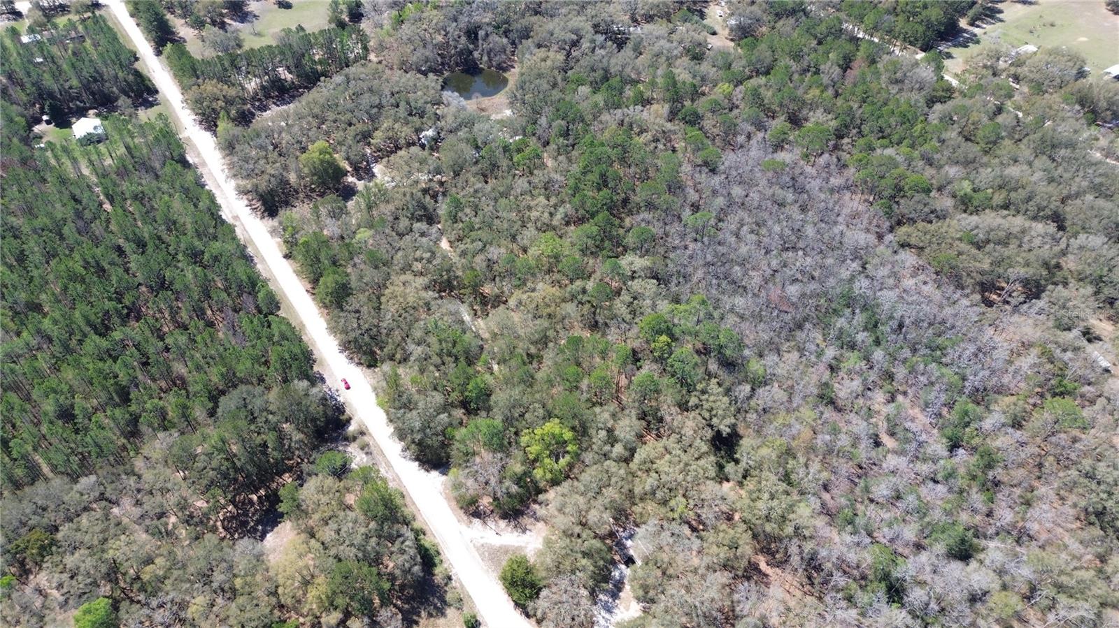 SW BUFFALO CT, FORT WHITE, FL, 32038