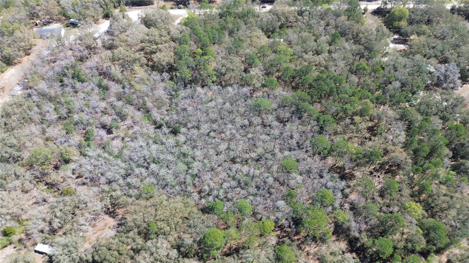 SW BUFFALO CT, FORT WHITE, FL, 32038