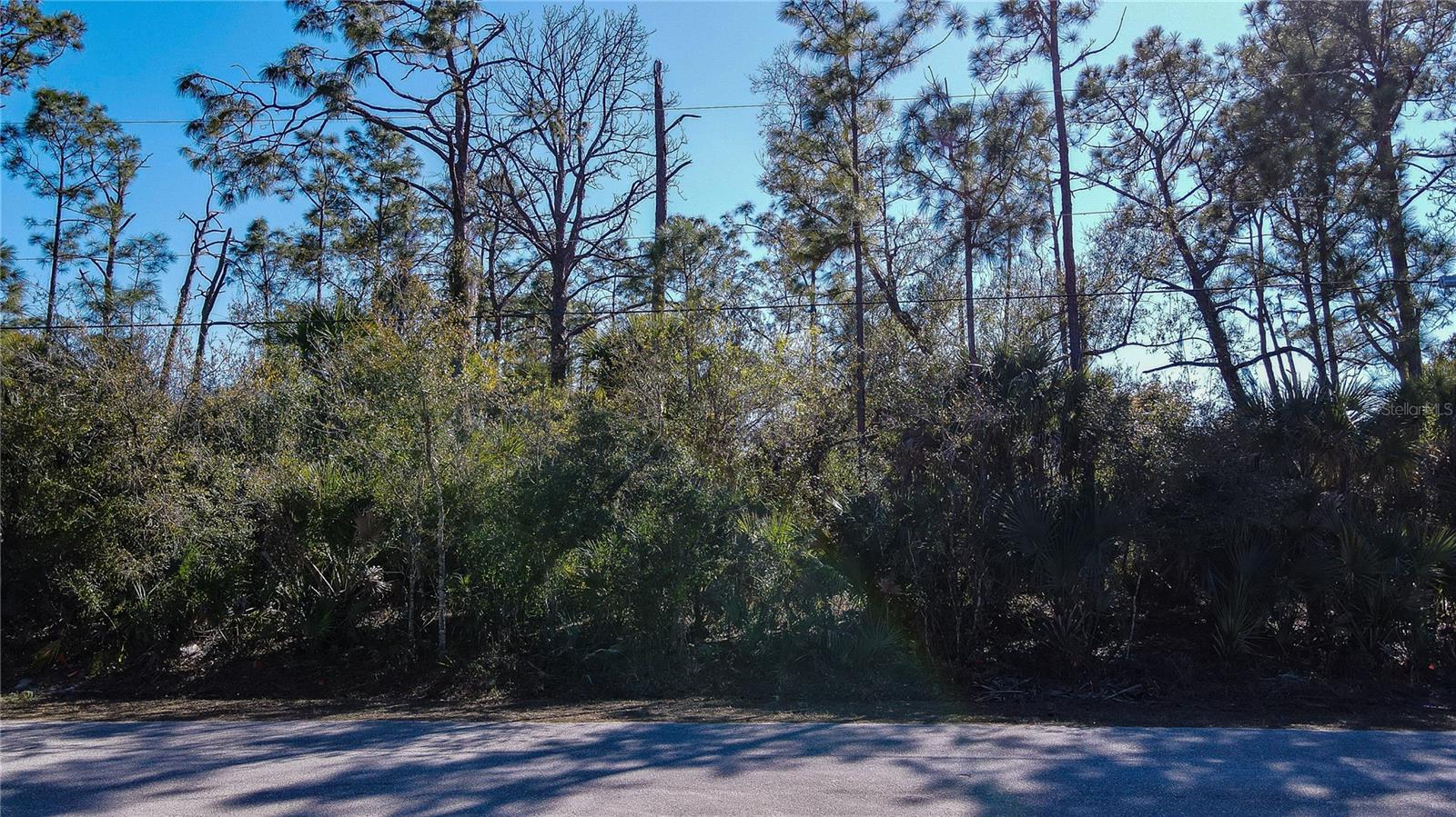 LOT 57 HORSESHOE AVE, NORTH PORT, FL, 34286