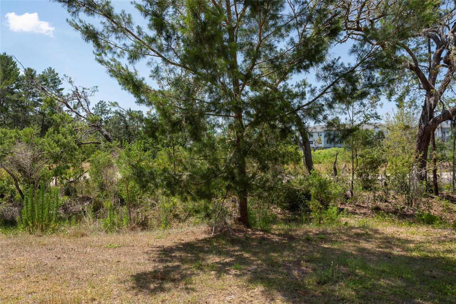 11704 CASTINE ST, NEW PORT RICHEY, FL, 34654