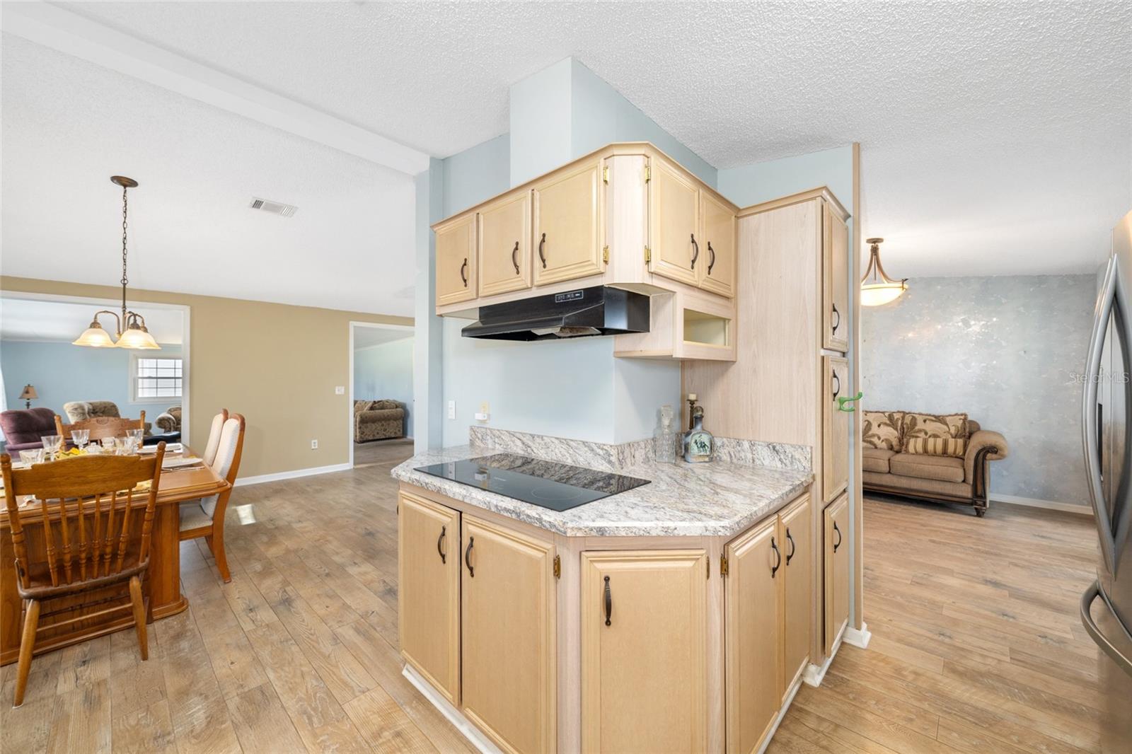 1717 LILLY LN, THE VILLAGES, FL, 32159