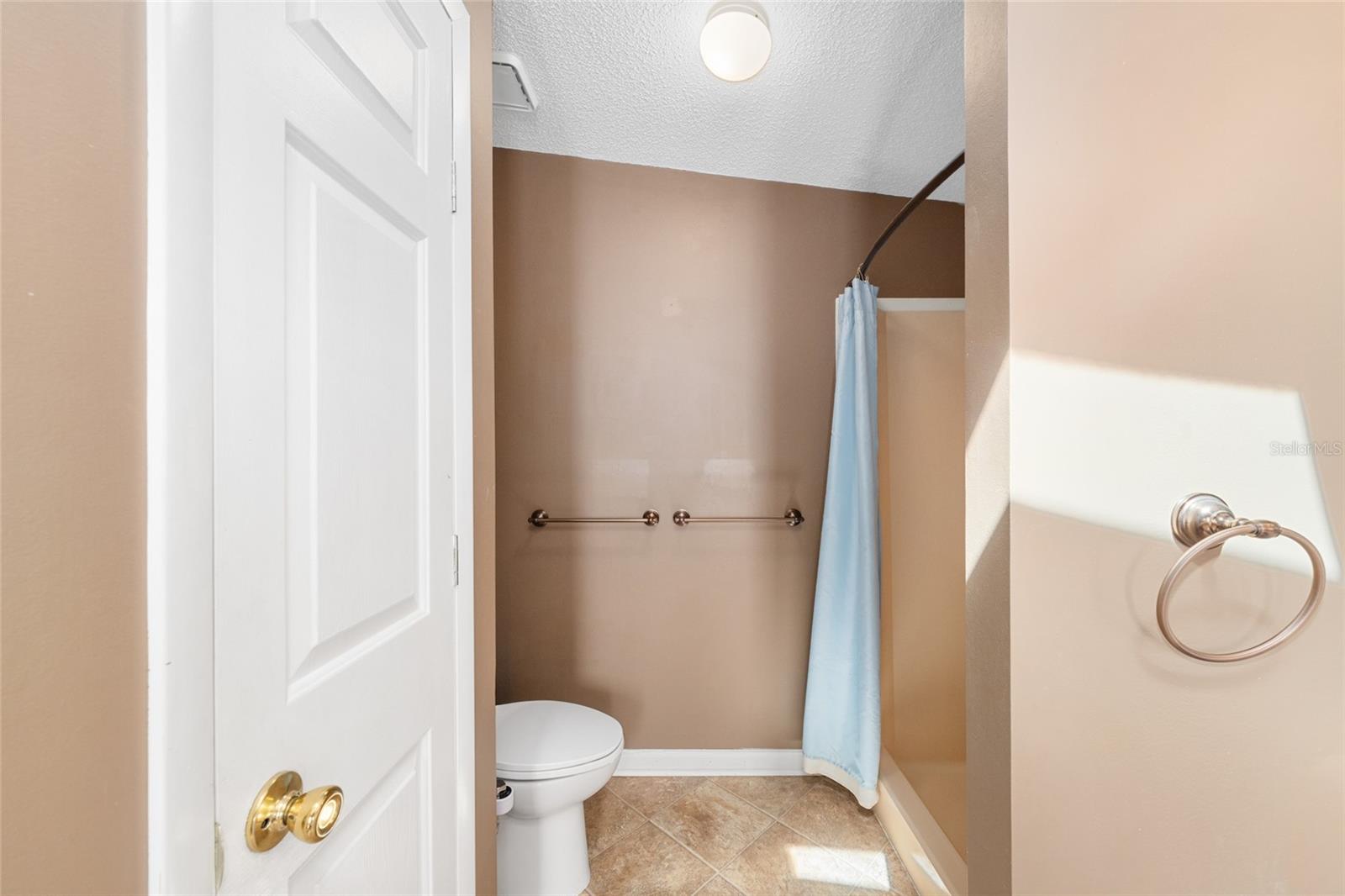 1717 LILLY LN, THE VILLAGES, FL, 32159