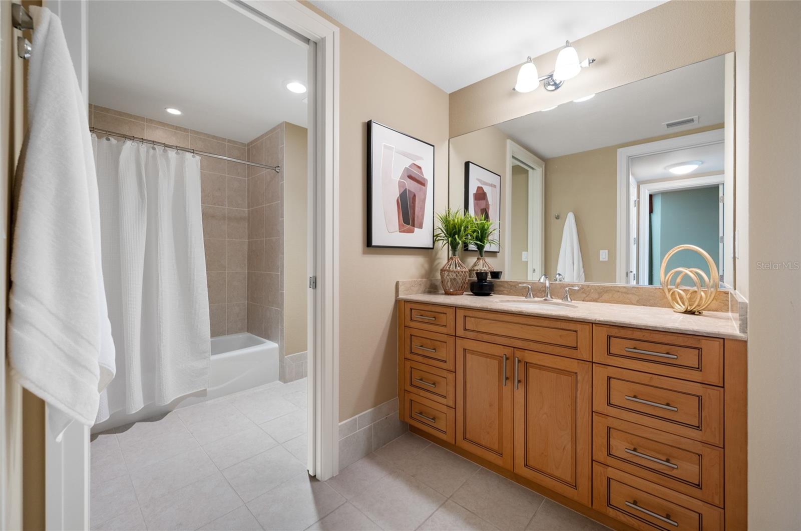 331 CLEVELAND ST #1204, CLEARWATER, FL, 33755