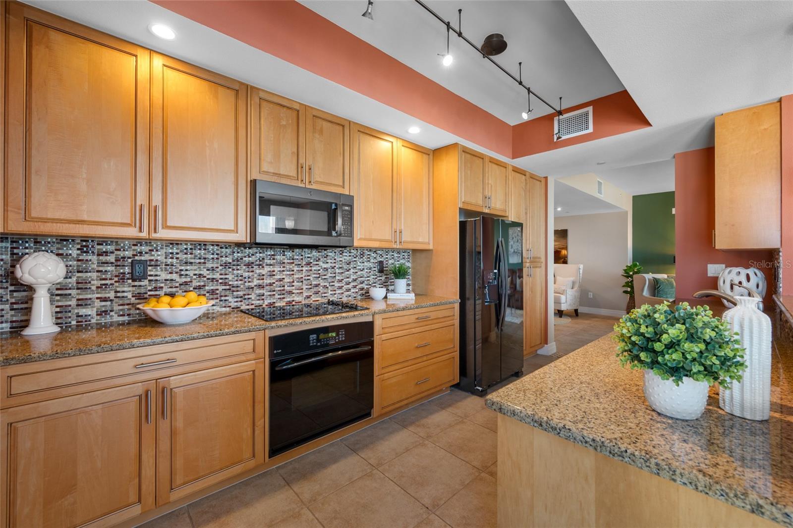 331 CLEVELAND ST #1204, CLEARWATER, FL, 33755