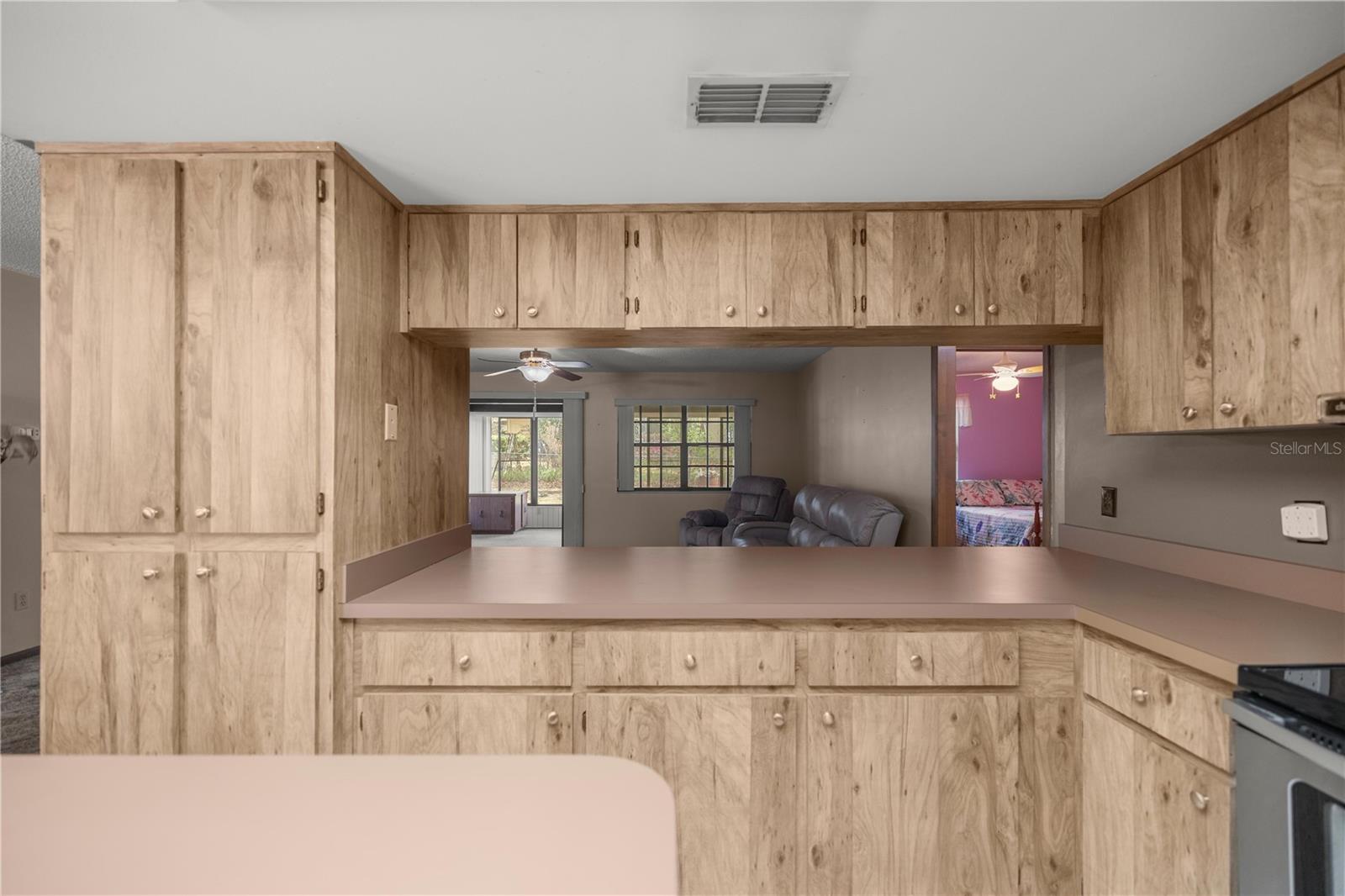 3809 S VENTURA AVE, INVERNESS, FL, 34452