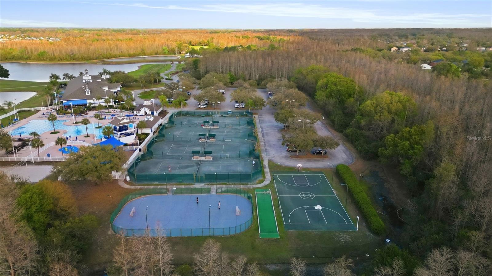 19408 SANDY SPRINGS CIR, LUTZ, FL, 33558