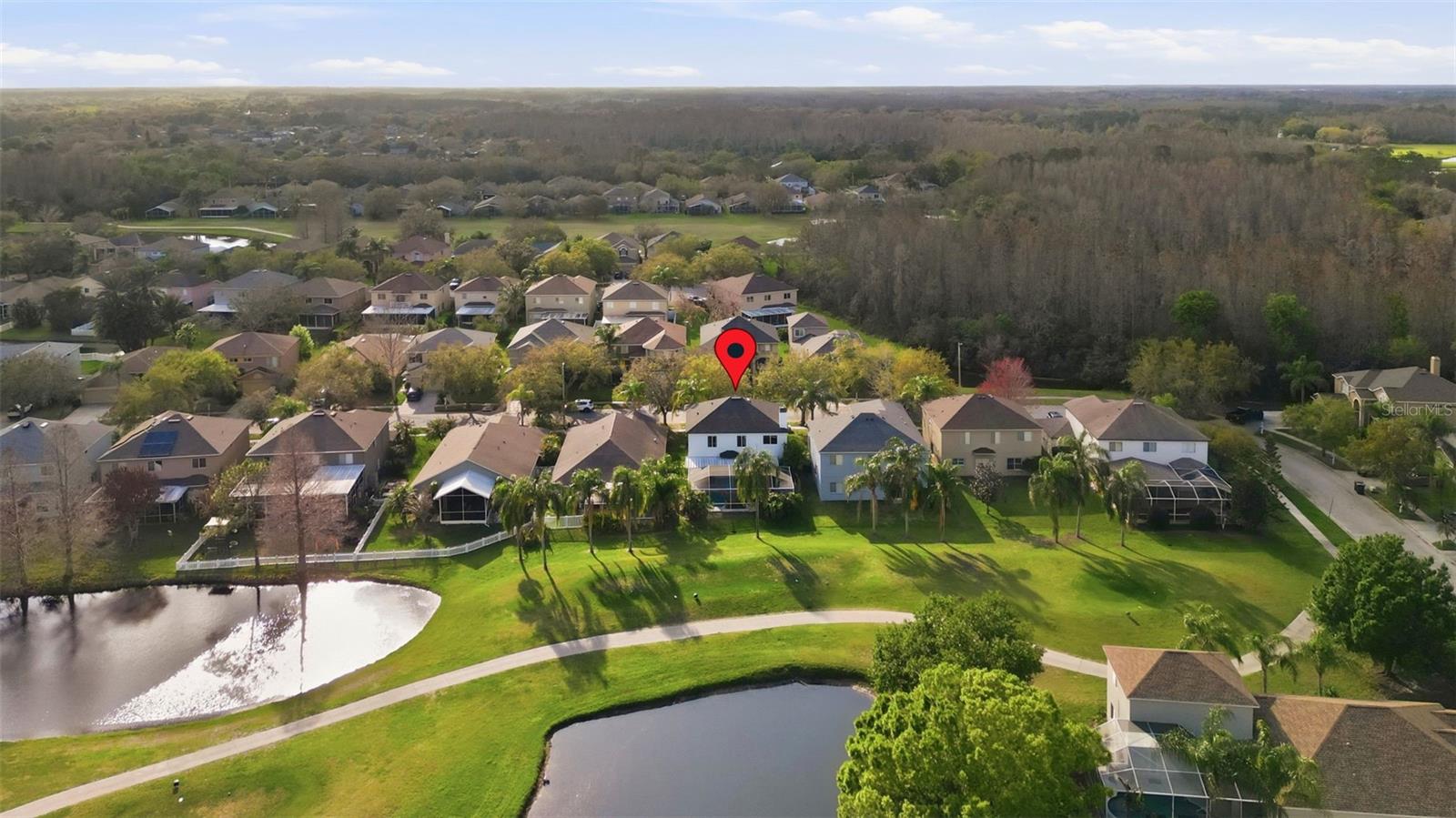 19408 SANDY SPRINGS CIR, LUTZ, FL, 33558