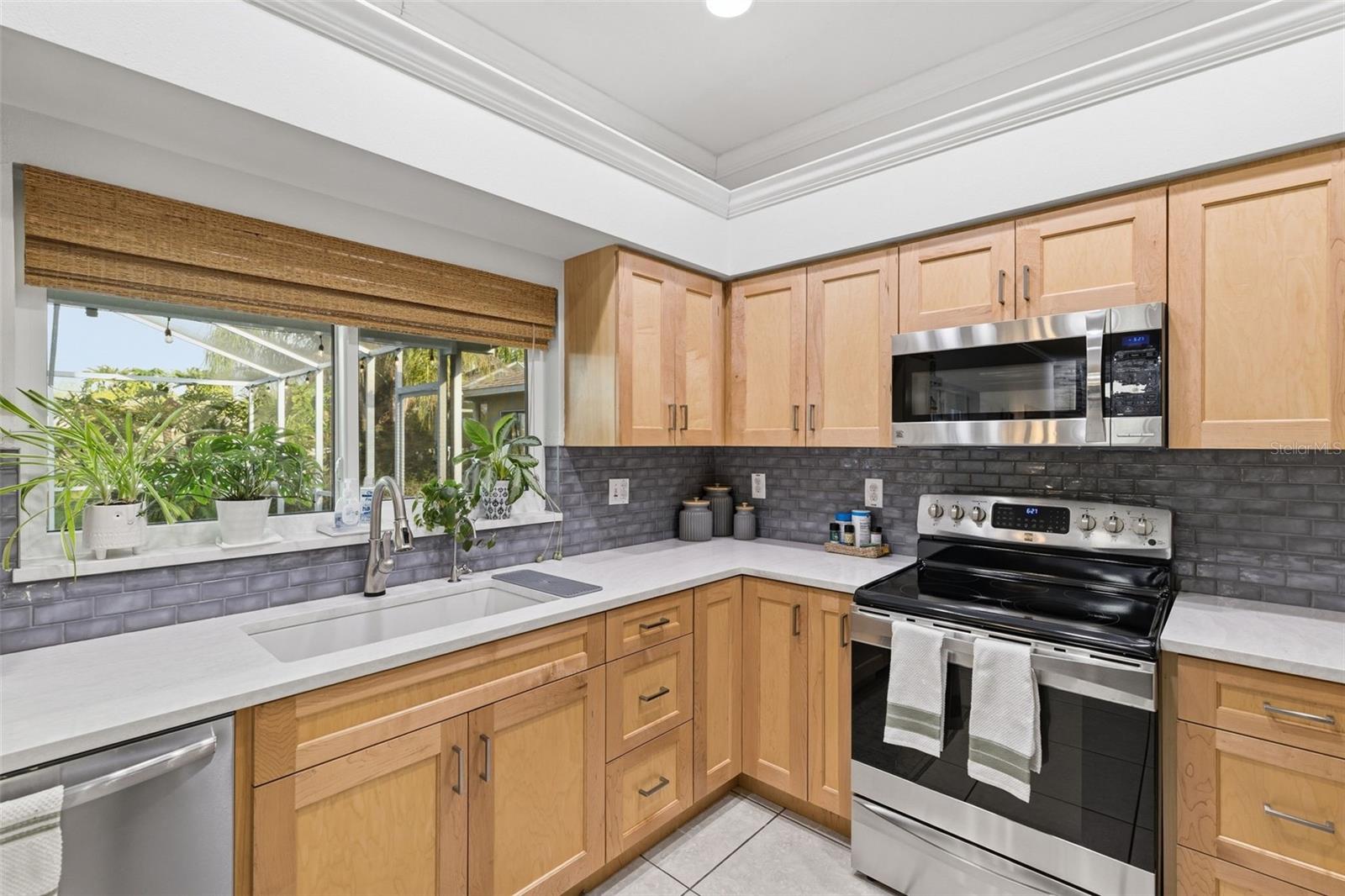 19408 SANDY SPRINGS CIR, LUTZ, FL, 33558