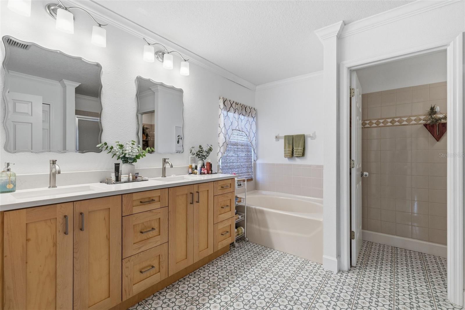 19408 SANDY SPRINGS CIR, LUTZ, FL, 33558