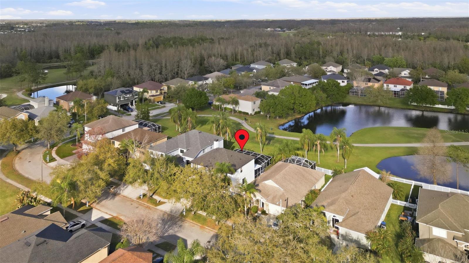 19408 SANDY SPRINGS CIR, LUTZ, FL, 33558