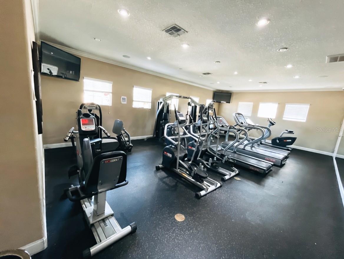 1705 IVORY GOOSE PL, RUSKIN, FL, 33570