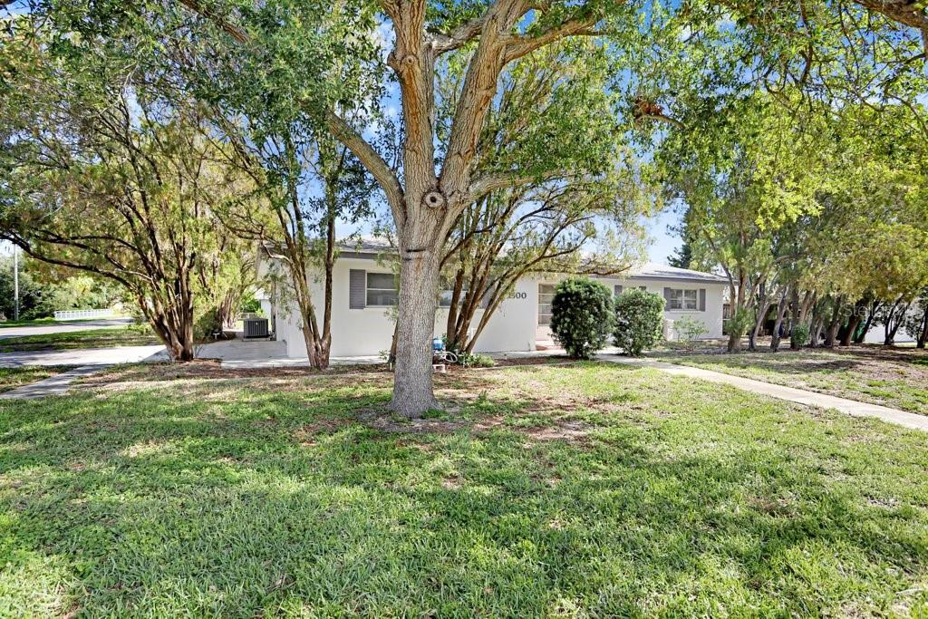 1600 PINEWOOD DR, CLEARWATER, FL, 33756