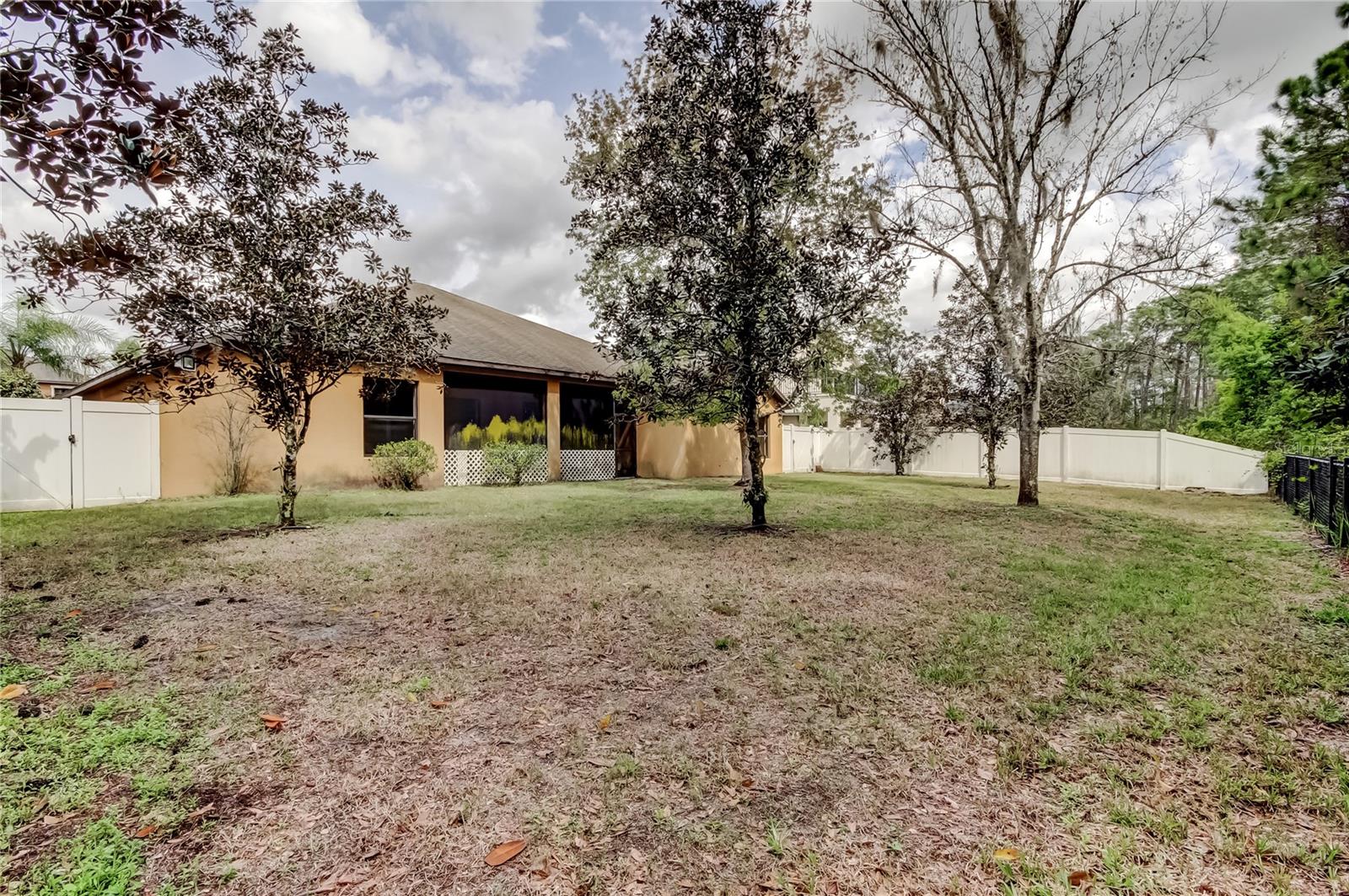 10820 RAIN LILLY PASS, LAND O LAKES, FL, 34638