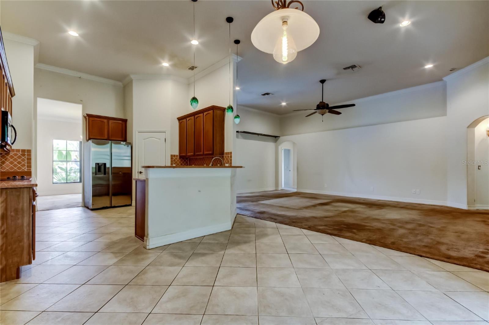 10820 RAIN LILLY PASS, LAND O LAKES, FL, 34638