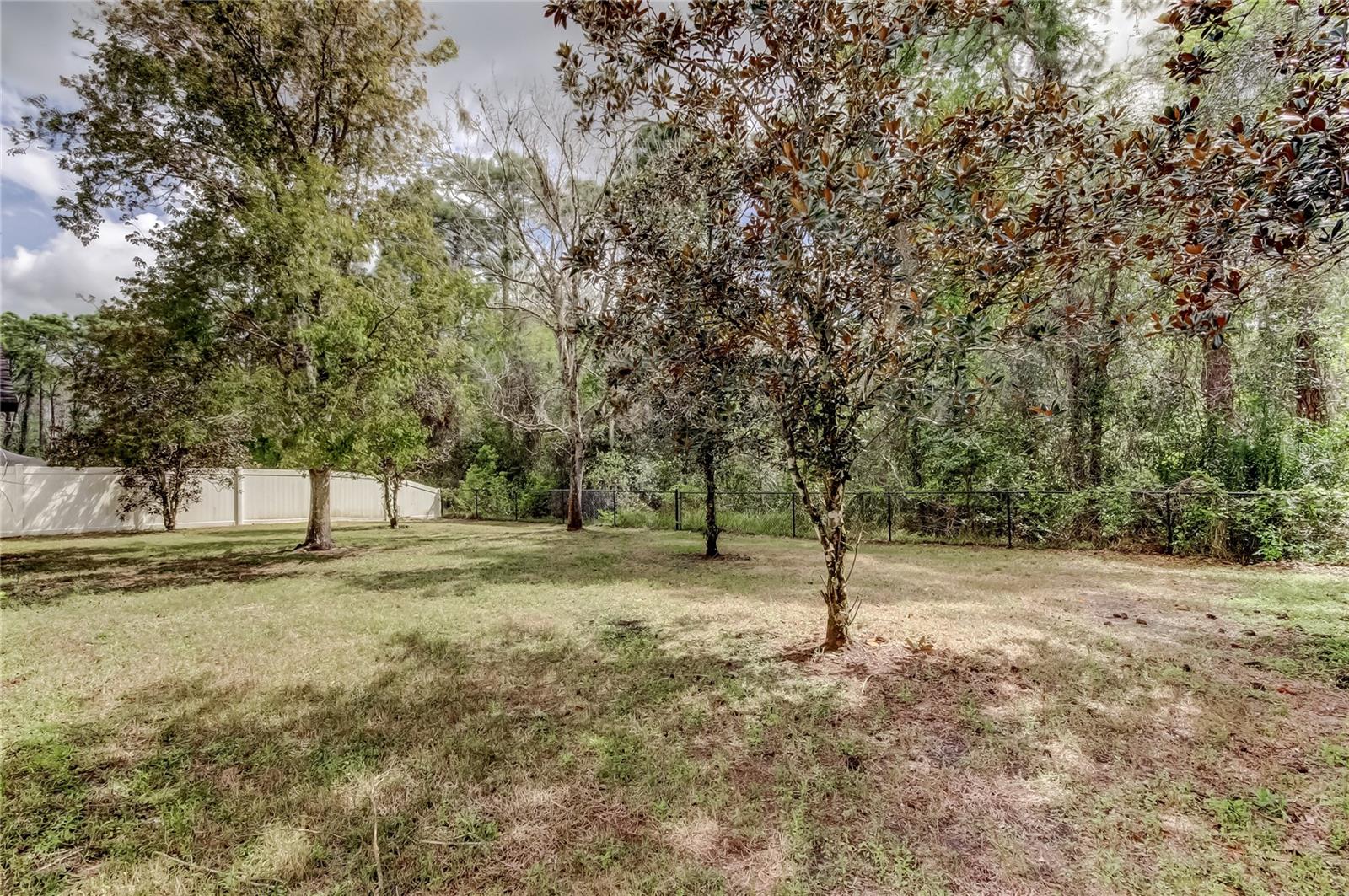10820 RAIN LILLY PASS, LAND O LAKES, FL, 34638