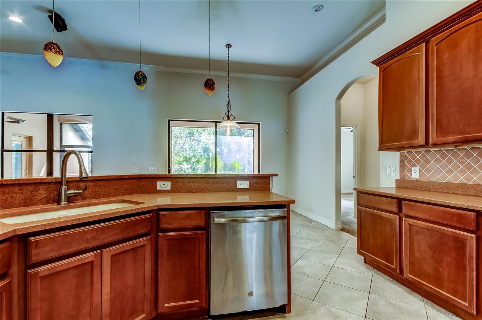 10820 RAIN LILLY PASS, LAND O LAKES, FL, 34638
