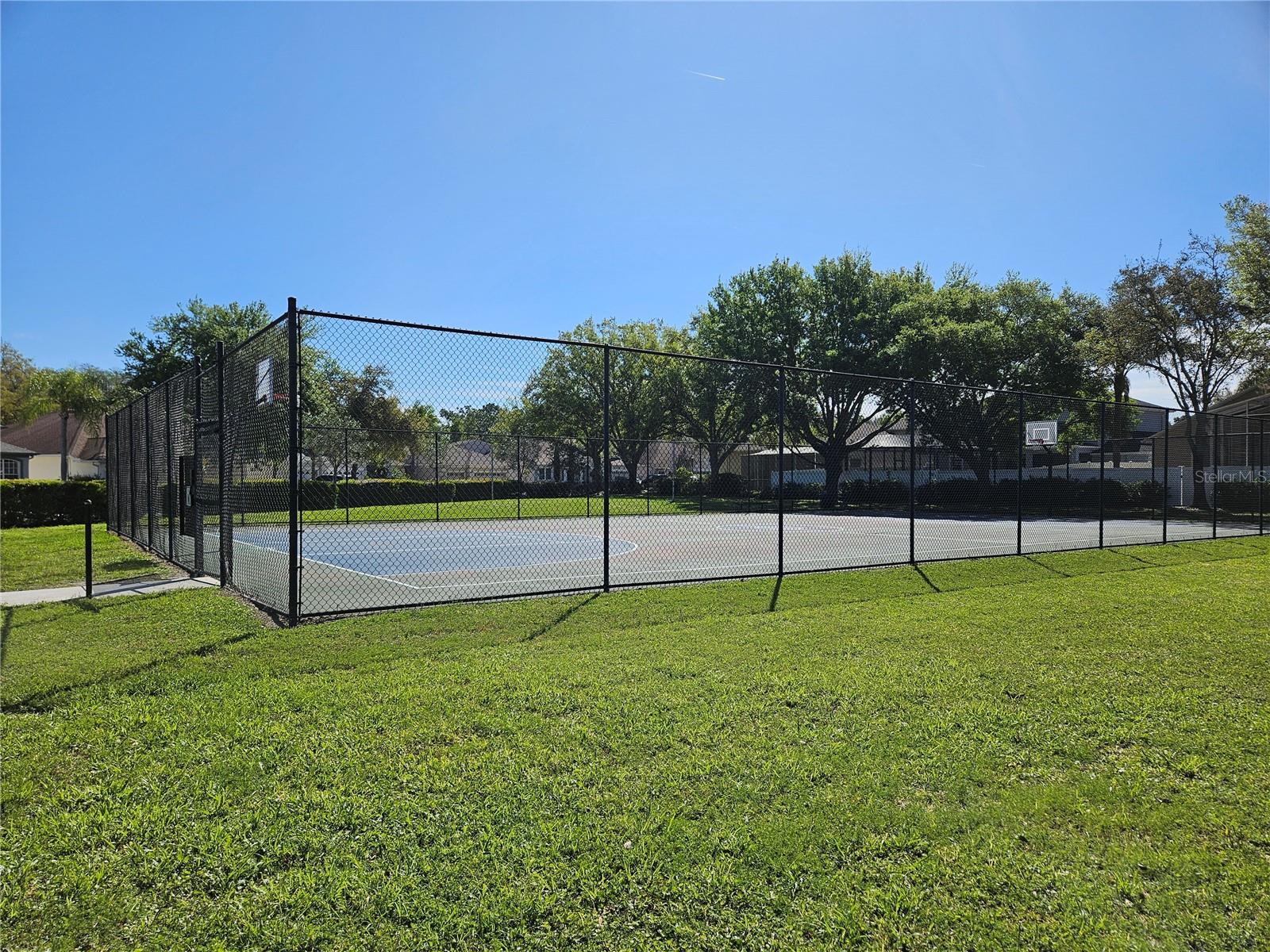 10820 RAIN LILLY PASS, LAND O LAKES, FL, 34638