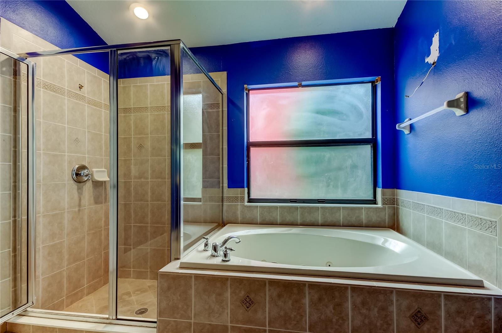 10820 RAIN LILLY PASS, LAND O LAKES, FL, 34638