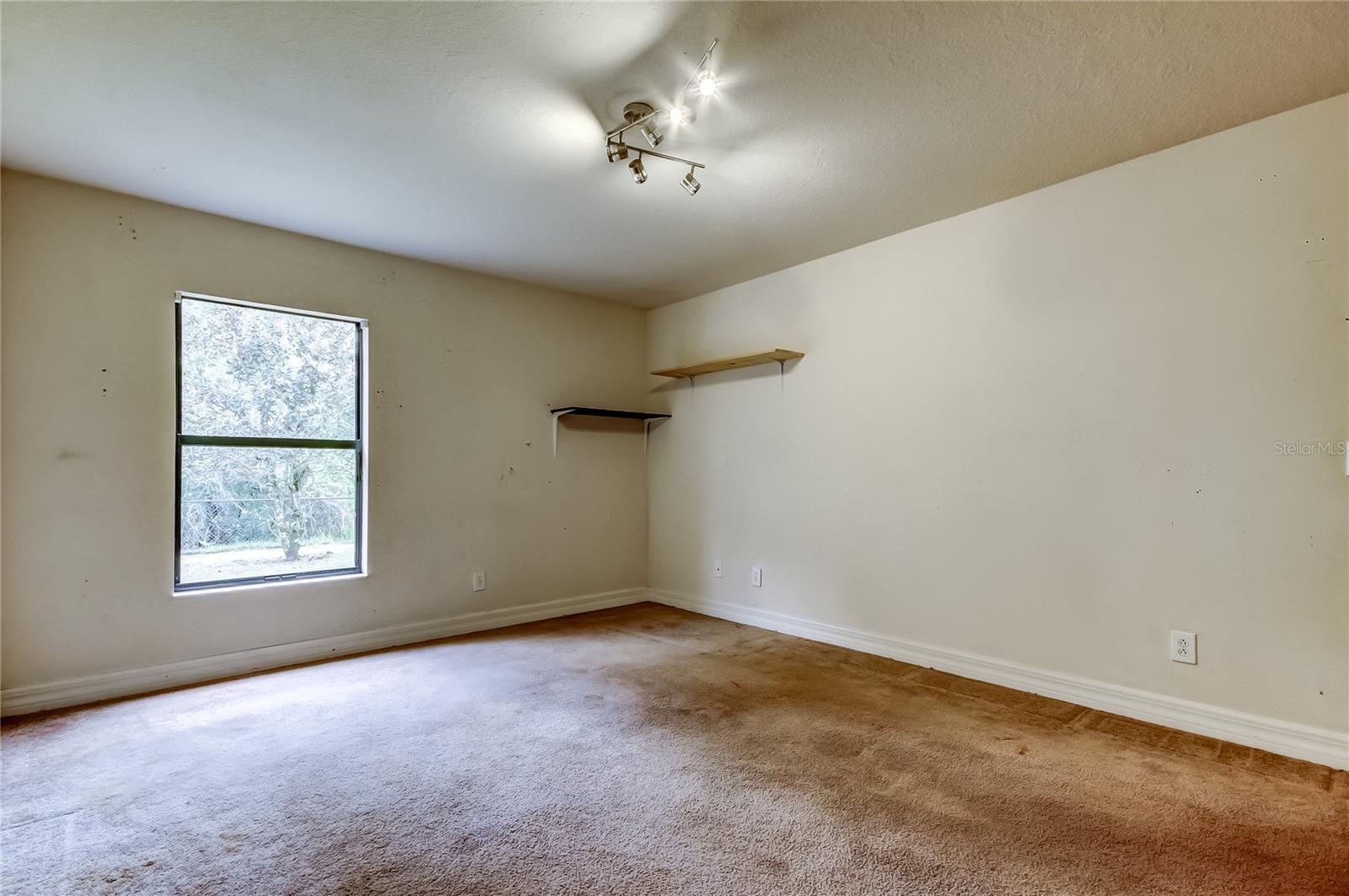 10820 RAIN LILLY PASS, LAND O LAKES, FL, 34638