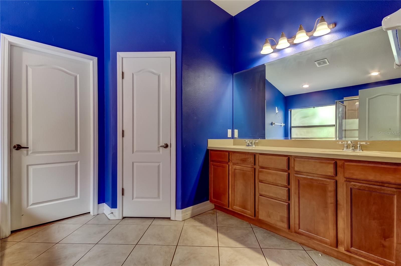 10820 RAIN LILLY PASS, LAND O LAKES, FL, 34638