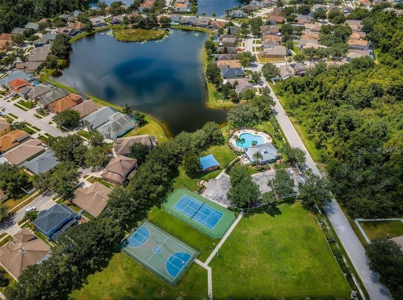 10820 RAIN LILLY PASS, LAND O LAKES, FL, 34638