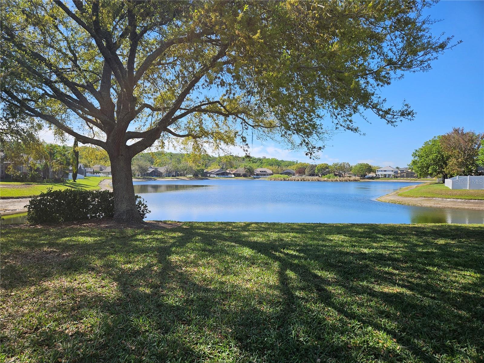 10820 RAIN LILLY PASS, LAND O LAKES, FL, 34638