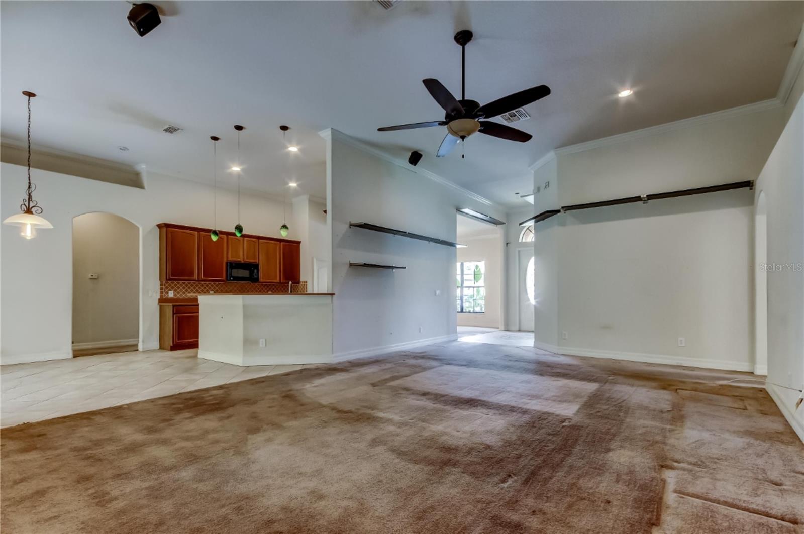 10820 RAIN LILLY PASS, LAND O LAKES, FL, 34638