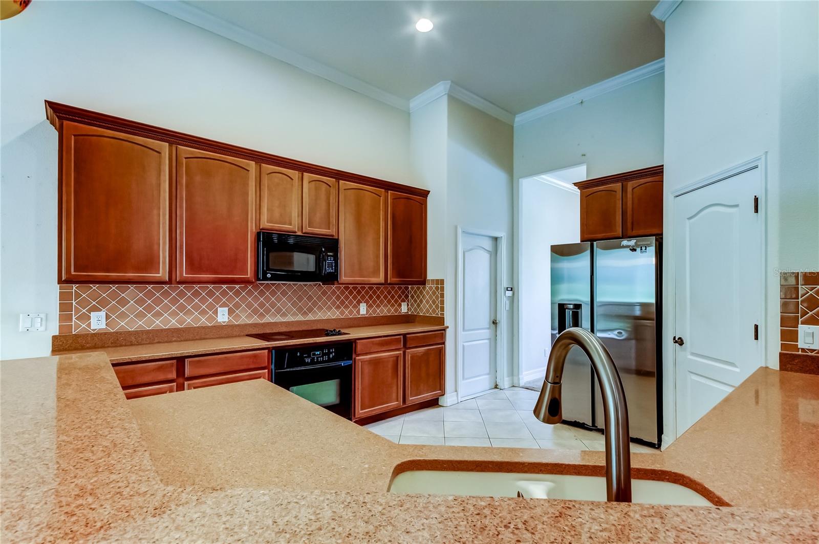 10820 RAIN LILLY PASS, LAND O LAKES, FL, 34638