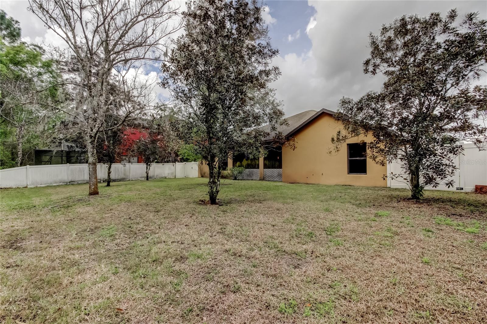 10820 RAIN LILLY PASS, LAND O LAKES, FL, 34638