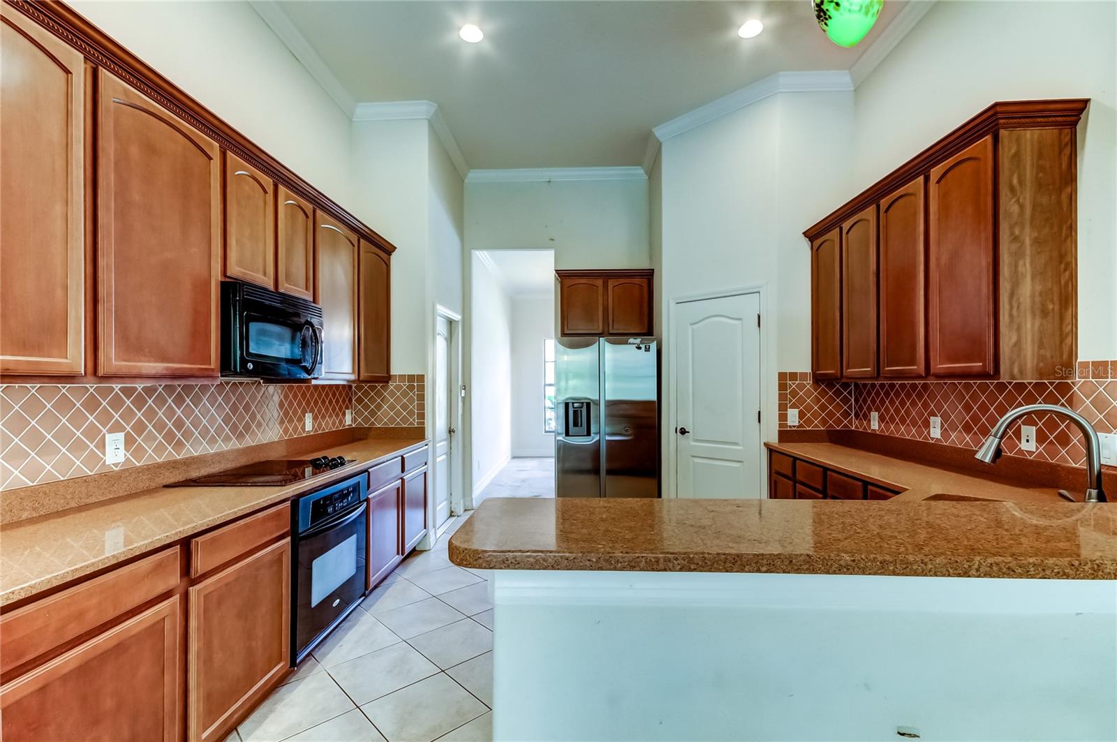 10820 RAIN LILLY PASS, LAND O LAKES, FL, 34638