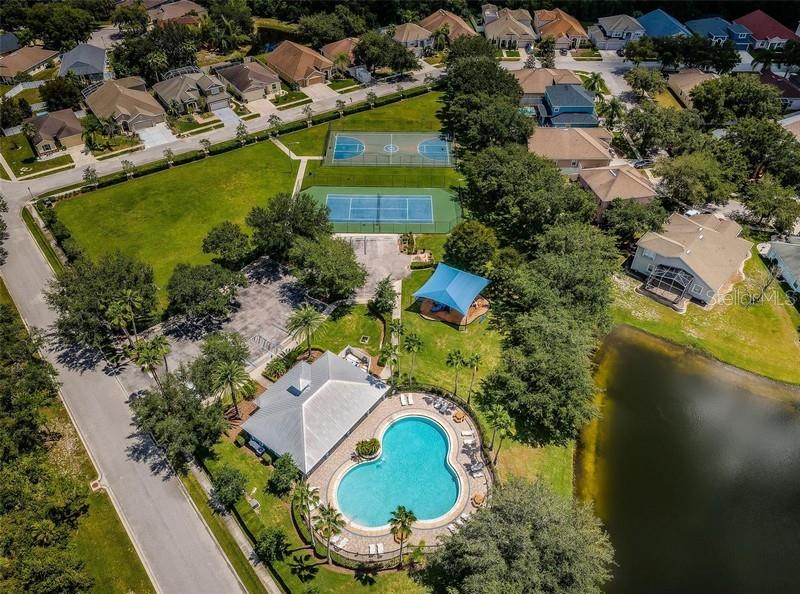10820 RAIN LILLY PASS, LAND O LAKES, FL, 34638