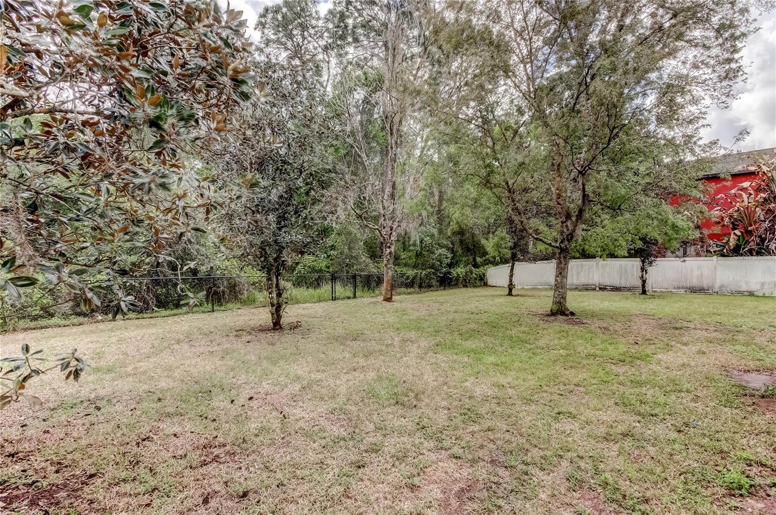 10820 RAIN LILLY PASS, LAND O LAKES, FL, 34638