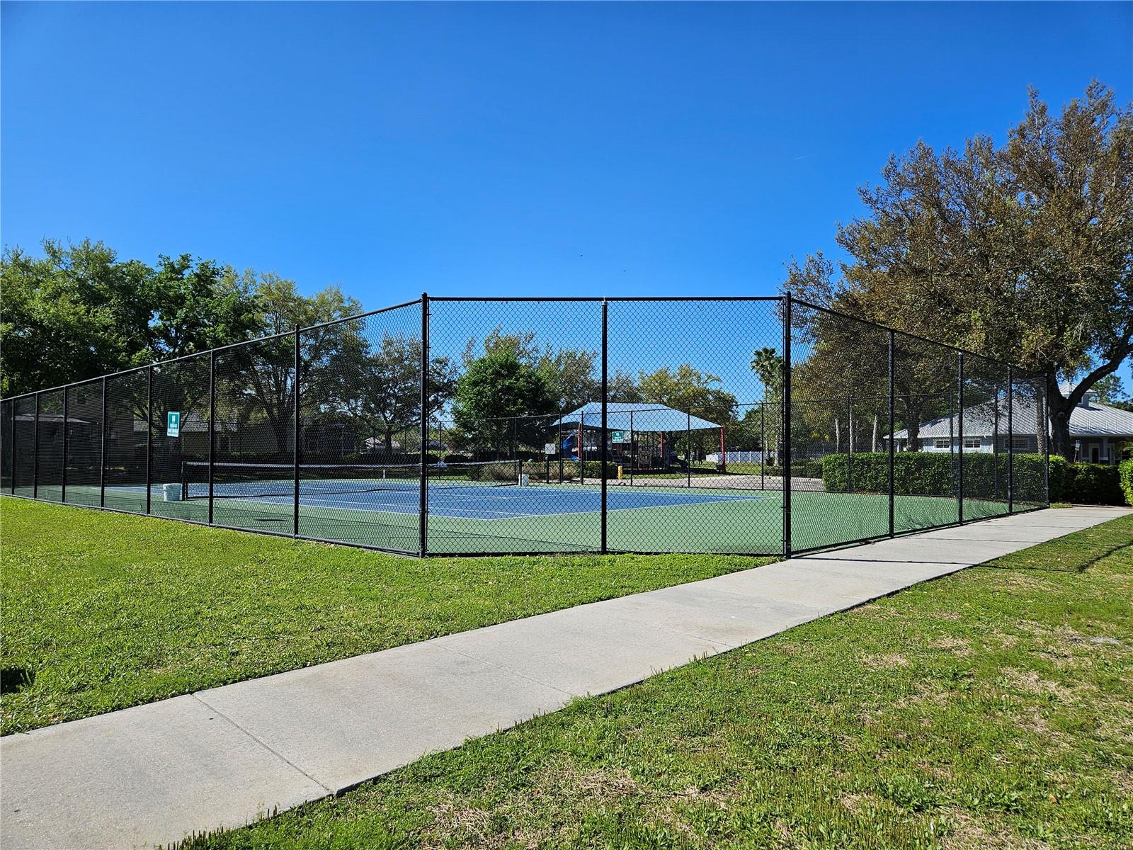 10820 RAIN LILLY PASS, LAND O LAKES, FL, 34638