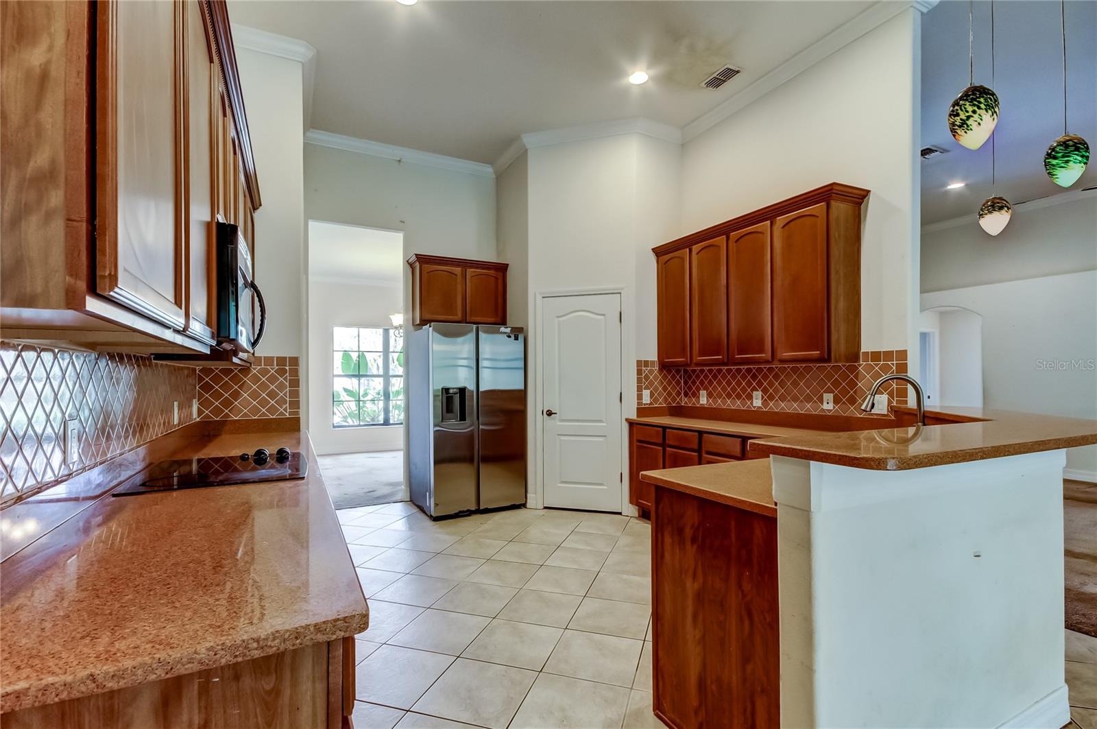 10820 RAIN LILLY PASS, LAND O LAKES, FL, 34638
