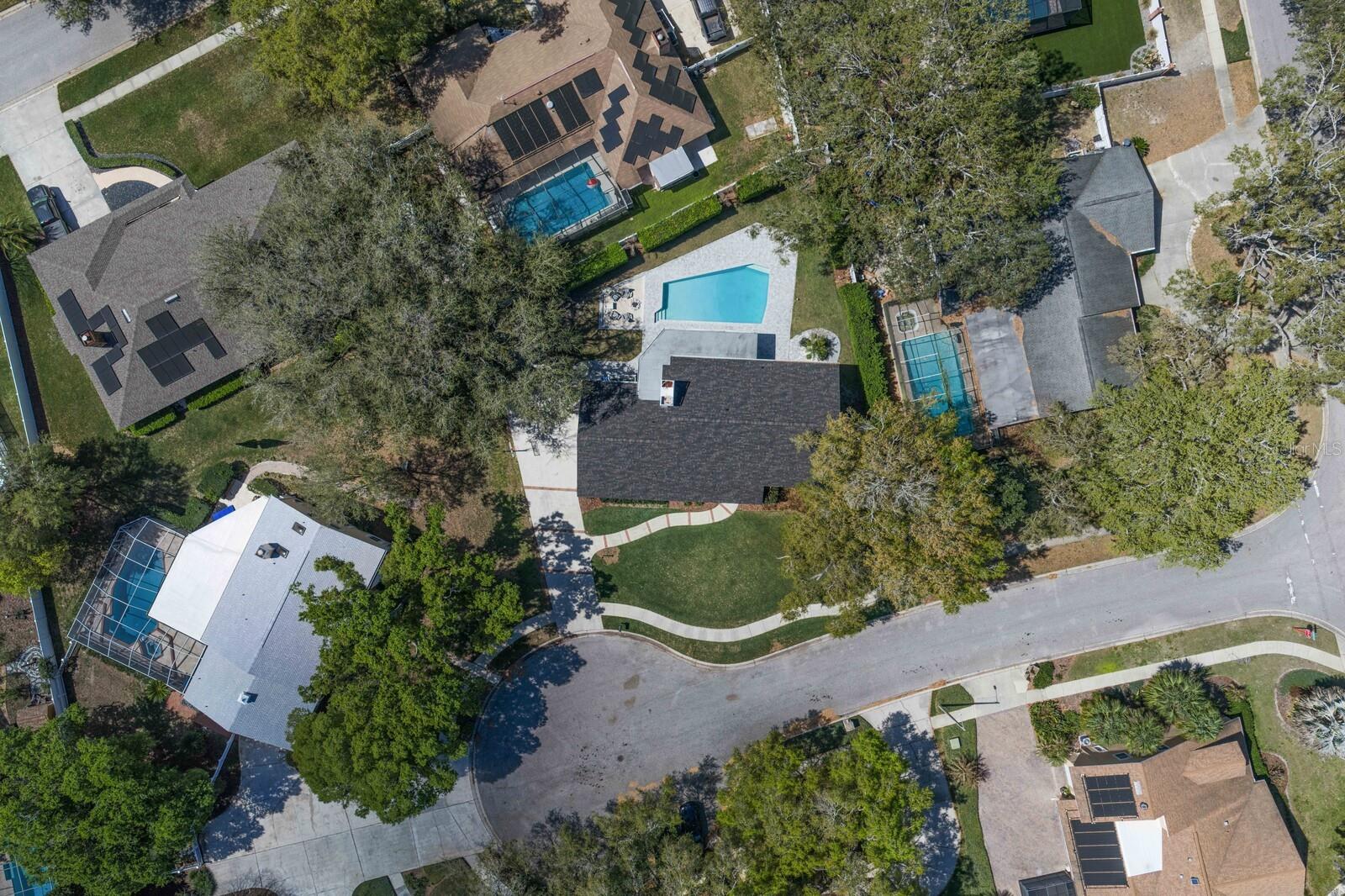 6404 JOSEPHINE ARBOR PL, TEMPLE TERRACE, FL, 33617