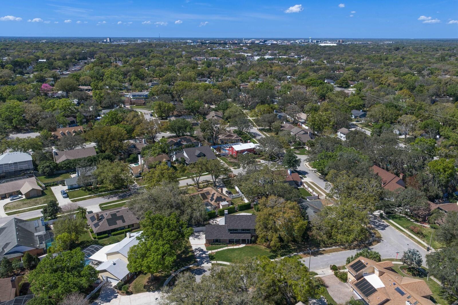 6404 JOSEPHINE ARBOR PL, TEMPLE TERRACE, FL, 33617