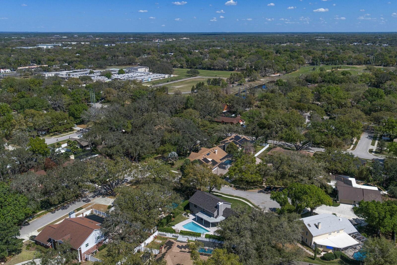6404 JOSEPHINE ARBOR PL, TEMPLE TERRACE, FL, 33617