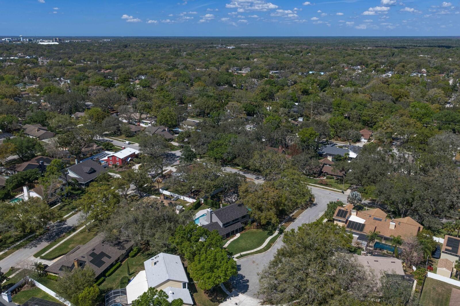 6404 JOSEPHINE ARBOR PL, TEMPLE TERRACE, FL, 33617