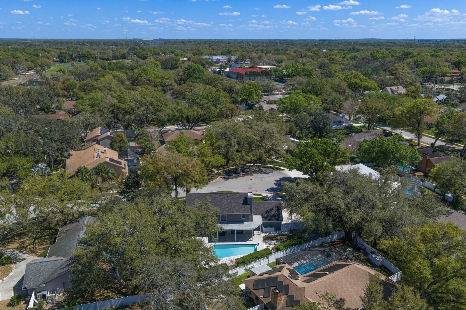 6404 JOSEPHINE ARBOR PL, TEMPLE TERRACE, FL, 33617