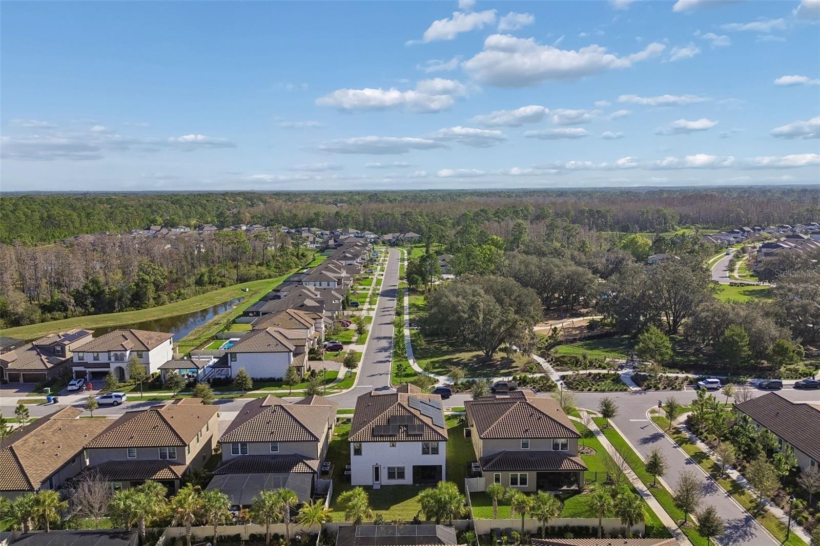 4300 BURDICK LOOP, ODESSA, FL, 33556