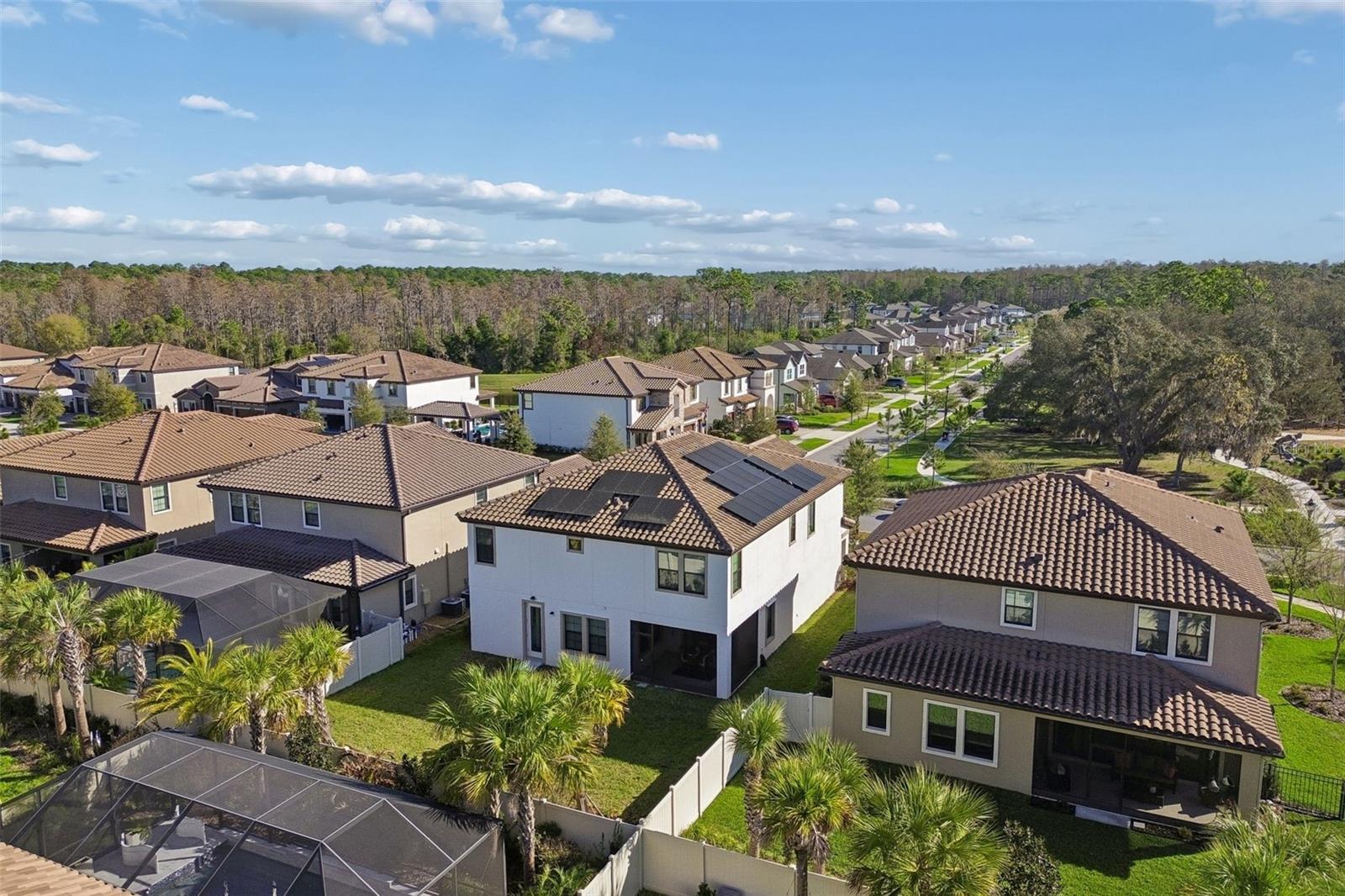 4300 BURDICK LOOP, ODESSA, FL, 33556